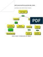 Mapas Conceptuales Articulación Del Codo