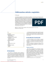 Malformations Mitrales