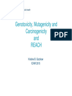 Genotoxicity, Mutagenicity and Carcinogenicity Testing Under REACH