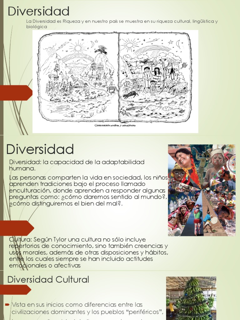 Riqueza de la Diversidad Cultural | PDF | Diversidad cultural | Sociedad