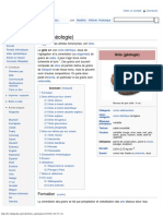 Grès (Géologie) - Wikipédia