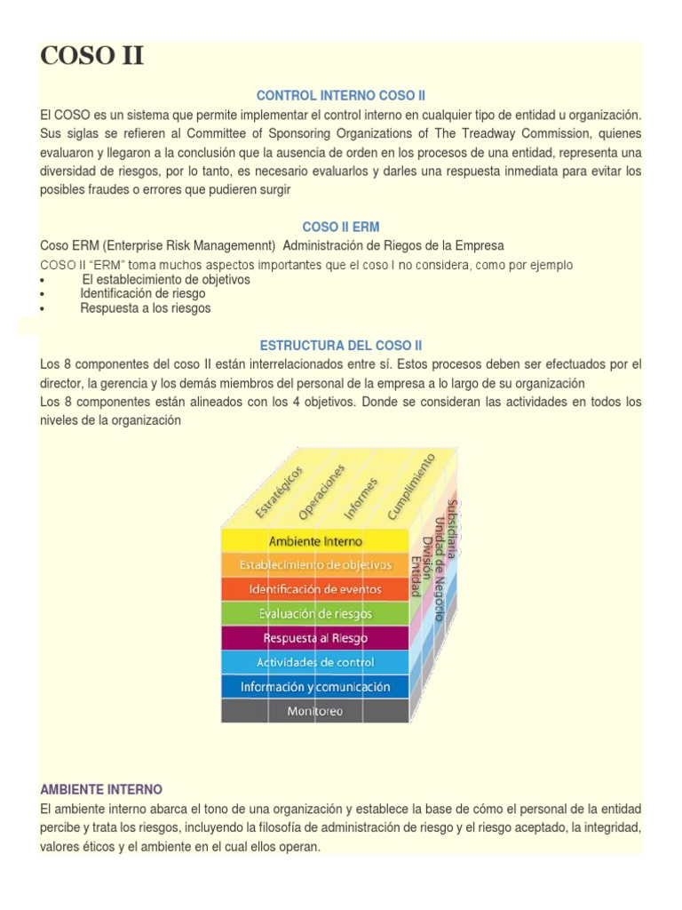 Coso Ii | PDF | Riesgo | Probabilidad