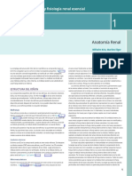 Anatomia y Fisiologia Renal