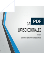 Garantías jurisdiccionales para la protección de derechos