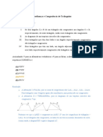 Lista de Exercício - Semelhança e Congruência - Leone Alves Da Silva