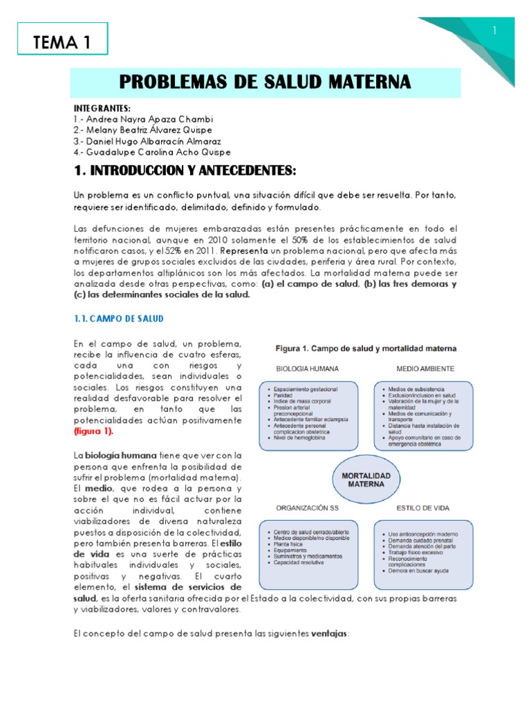 tema-1-problemas-de-salud-materna-pdf-el-embarazo-muerte-materna