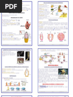 Filos Porifera e Cnidaria site