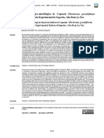 Caracterización Agro-Morfológica de Copoazú (Theobroma Grandiflorum - Revista