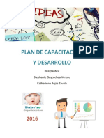 babyro_plan_de_capacitacion_2016