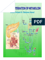 Integration of Metabolism Web