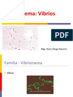 Tema Vibrios