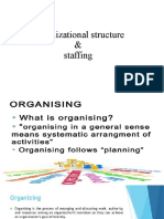 Organization Structure and Staffing