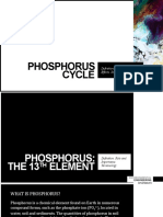 Phosphorus Cycle: Definition. Process. Causes and Effects. Solutions. Miscellaneous