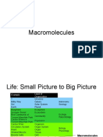 Macro Molecules