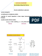 C4 5 Glicoliza Anaeroba Februarie-2021