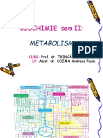 C1 Metabolism Generalitati 2021