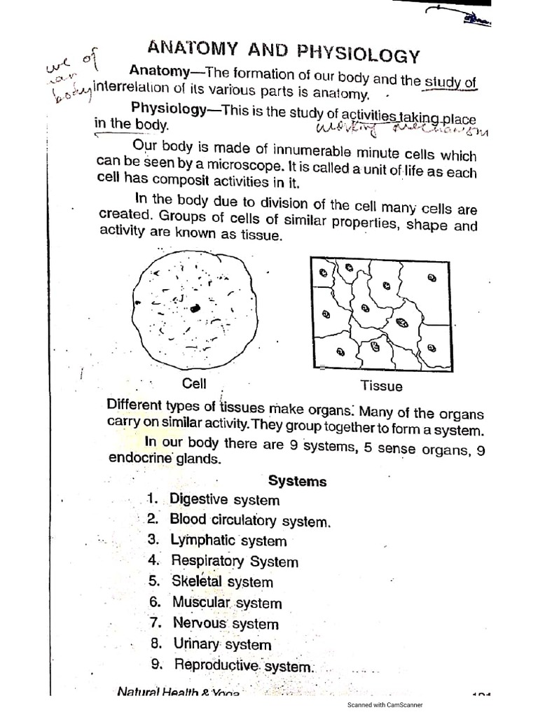 Anatomy And Physiology Printable Pdf