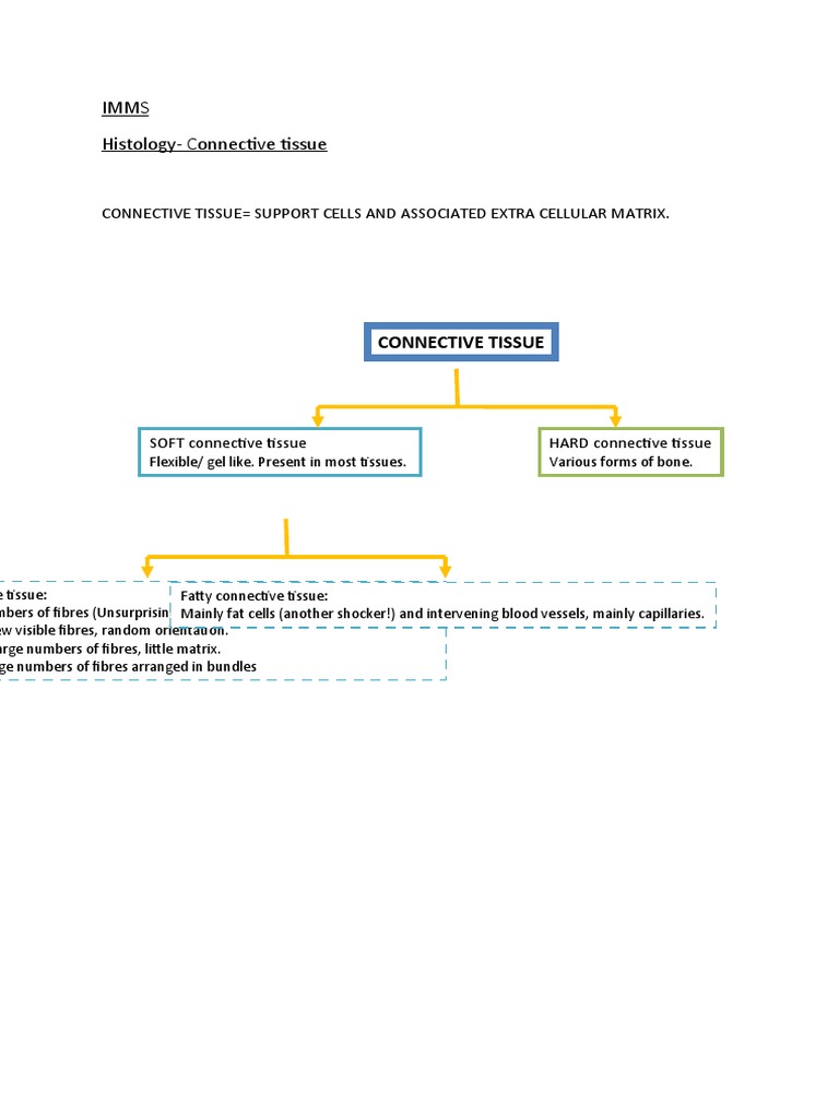 Histology of Connective Tissue Types | PDF | Connective Tissue | Collagen