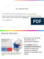 Enzyme Kinetics