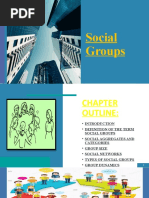 Social Groups and Organizations