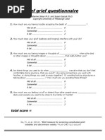Brief Grief Questionnaire (BGQ) | PDF