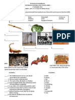 MUSIC. Identify The Names of The Following Instrument From Southeast Asia. Choose The Correct Answer From The WORD