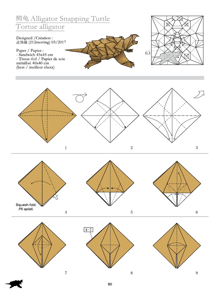 Diagram Alligator Snapping Turtle | PDF