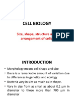 Cell Biology: Size, Shape, Structure and Arrangement of Cells