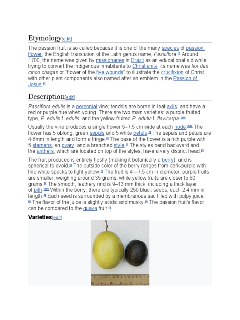 Etymology Species Passion Flower Missionaries Brazil Christianity Five