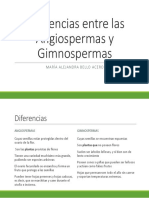 Diferencias Entre Las Angiospermas y Gimnospermas