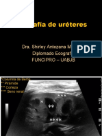 09. Us Ureter, Vejiga, Prostata Dra. Shirley Antezana