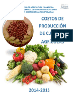 INFORME-COSTOS-DE-PRODUCCION-2014-2015