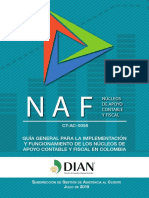 Guía DIAN-NAF - Jul2019