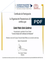 Curso Virtual Sobre El Correcto Llenado Del Certificado de Defunción, RELACSIS-Certificado de Aprobación 1419694