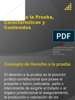 Ruiz DerechoConst Prueba-Concepto-Caracteristicas-Contenidos-marzo-2021