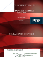 Neural Basis Speech