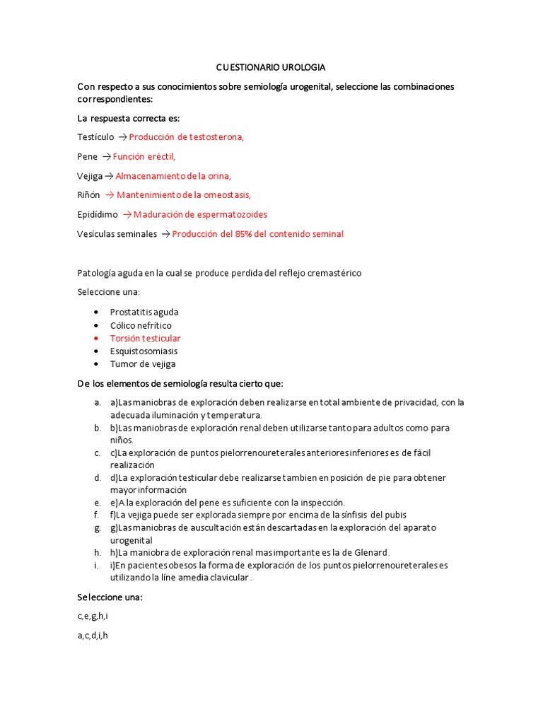 Cuestionario Urologia | PDF | Cancer de prostata | Anatomía