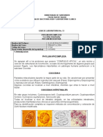 Guía de Laboratorio Coccidias Intestinales