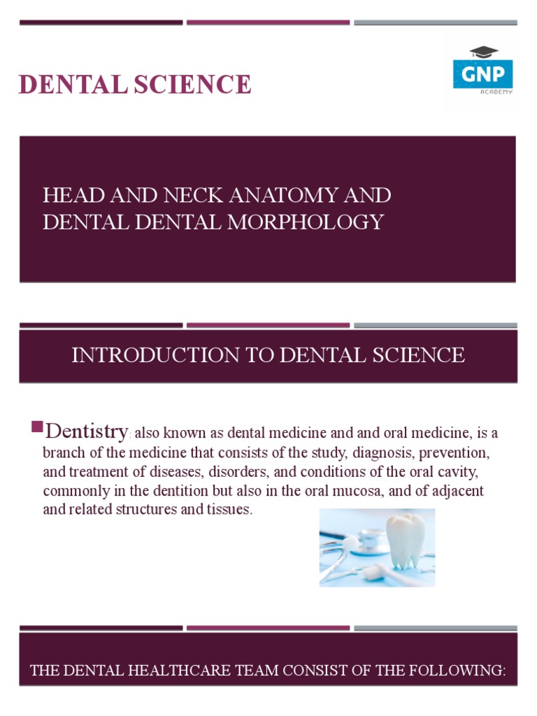 Dental Anatomy Guide | PDF | Dentistry | Medical Specialties