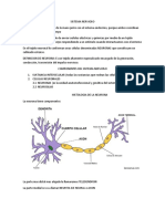 SISTEMA NERVIOSO Repaso 01