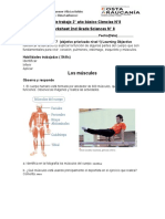 Guia #8 Ciencias