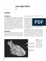 Congenital Cardiac Surgery Cut