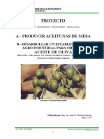 Proyecto técnico-económico para producir aceitunas y aceite de oliva en La Rioja