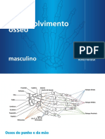 Atlas Ossos 2018 Novo Nordisk 1906