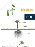 Resiliencia - La Palme