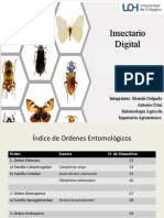 Presentacion Insectario Digital TERMINADO 2