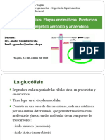 T-12 Glucolisis Bioquimica