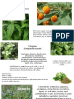 Plantasmedicinales (Autoguardado)