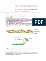 Locomotion & Movements Part 3