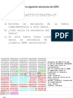 Ejemplo de Ejercicio de Adn